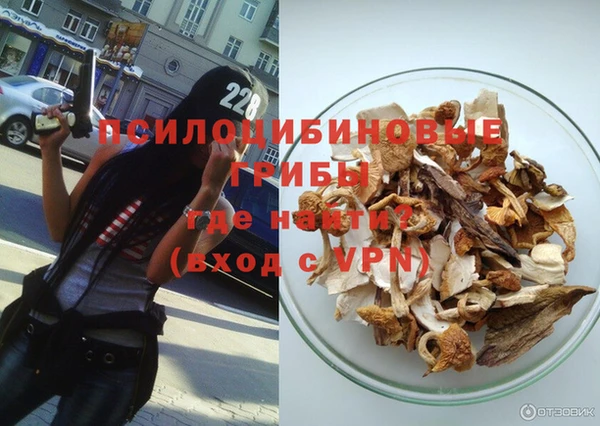jwh Белокуриха