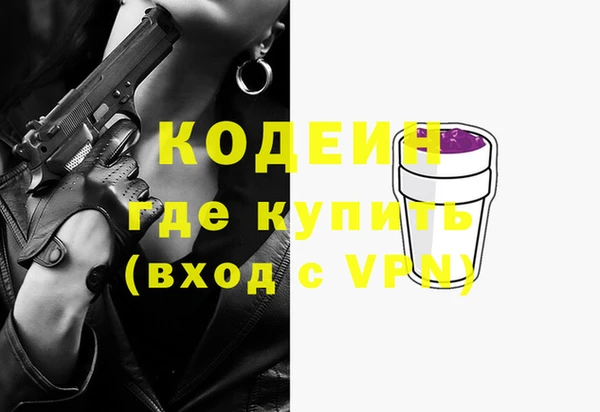 индика Балабаново