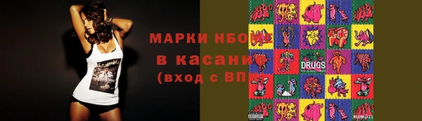 индика Балабаново