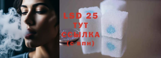 индика Балабаново