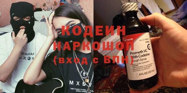 индика Балабаново