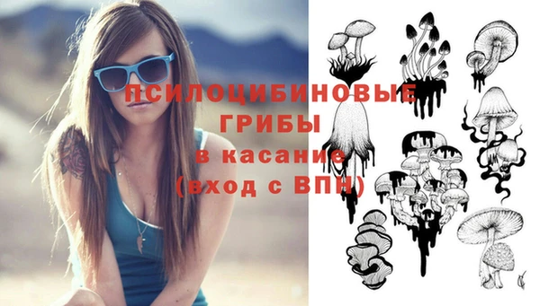 jwh Белокуриха