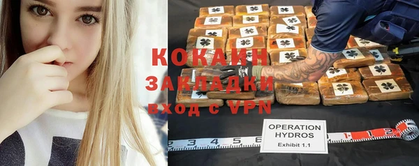 индика Балабаново