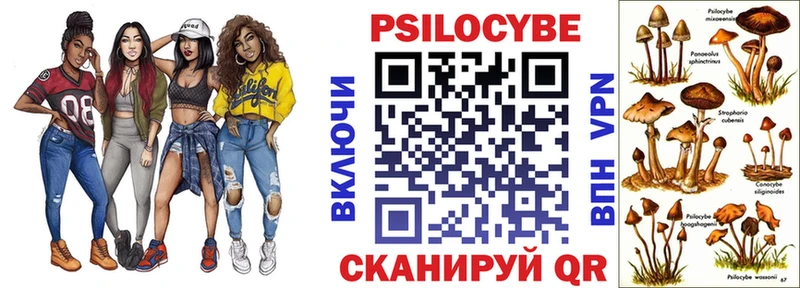 цены   Воскресенск  Псилоцибиновые грибы Psilocybe 