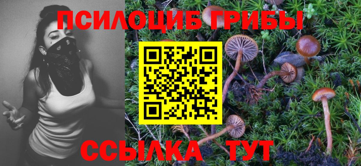 Псилоцибиновые грибы MAGIC MUSHROOMS Воскресенск
